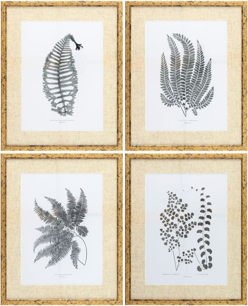 Ferne Framed Art — Black/Charcoal