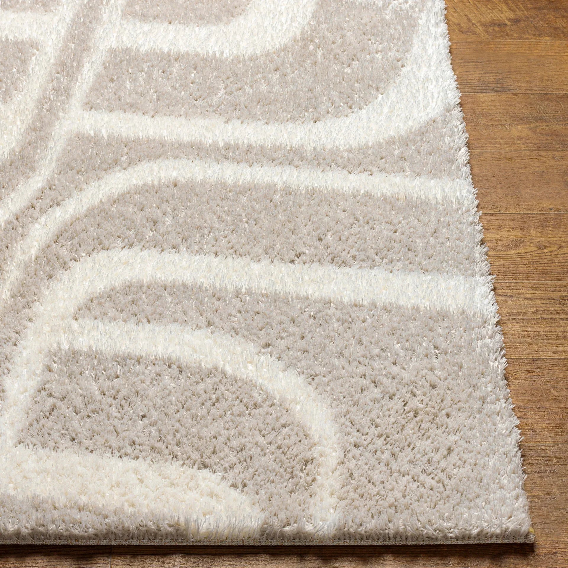 Cloudy Shag Machine Woven Rug Livabliss Cloudy Shag