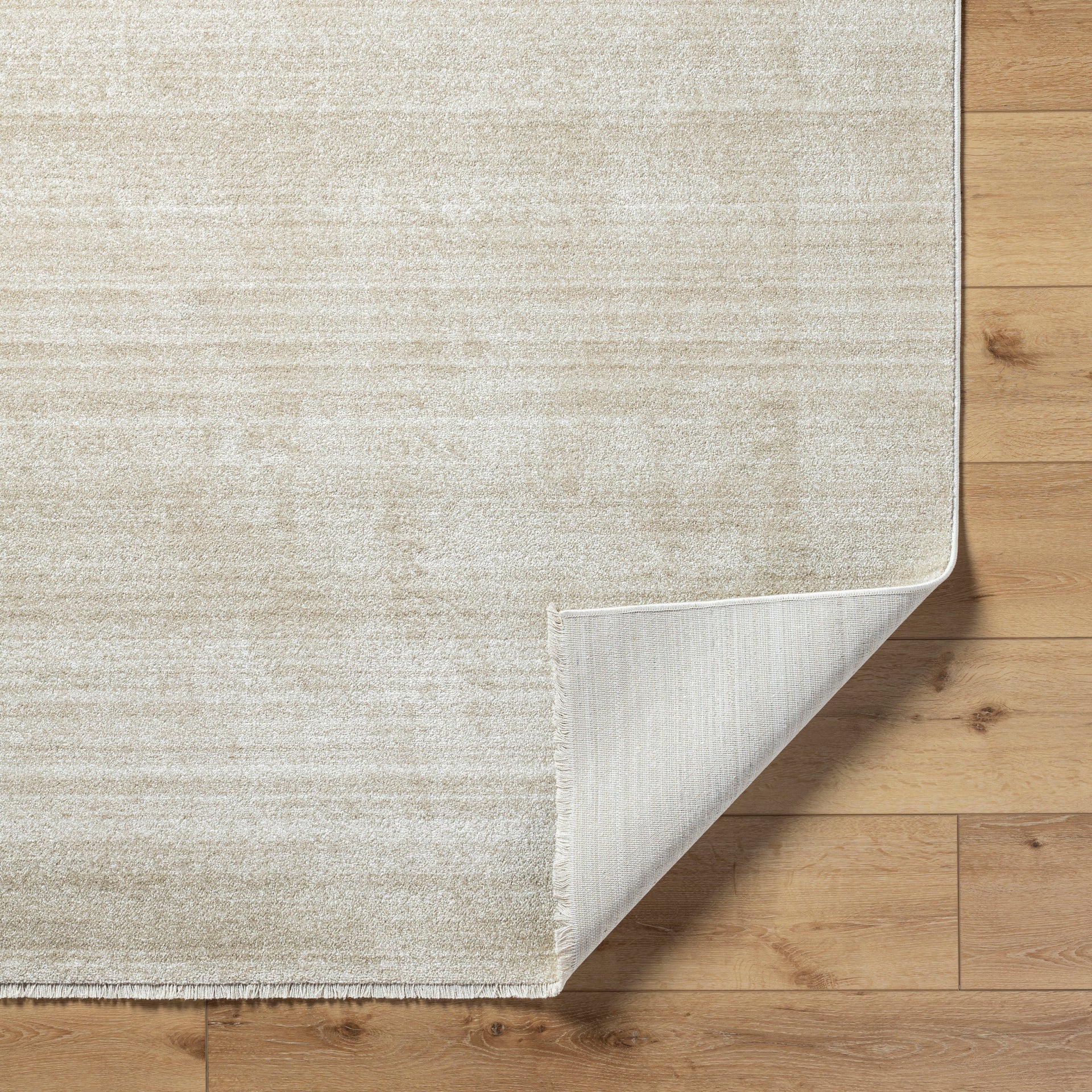 Rojin Machine Woven Rug Livabliss Rojin