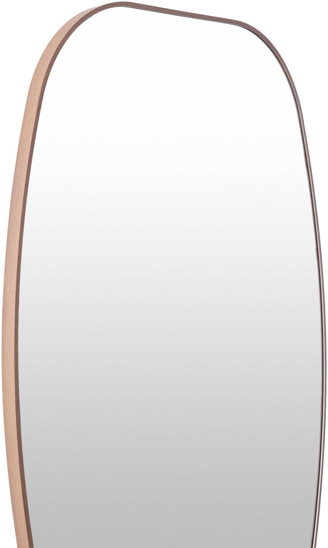 Aranya Accent Mirror Livabliss Aranya