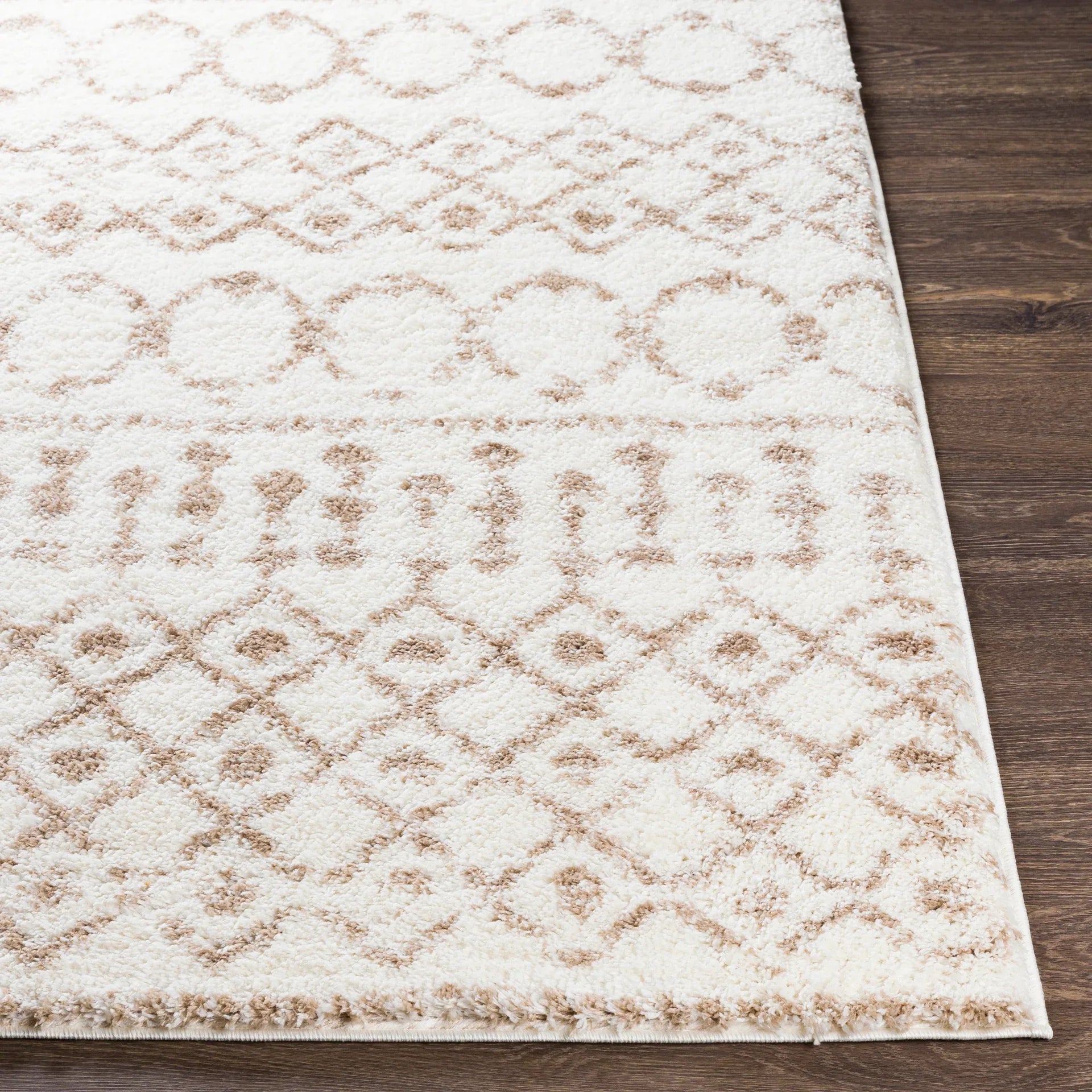 Aliyah Shag Machine Woven Rug Livabliss Aliyah Shag