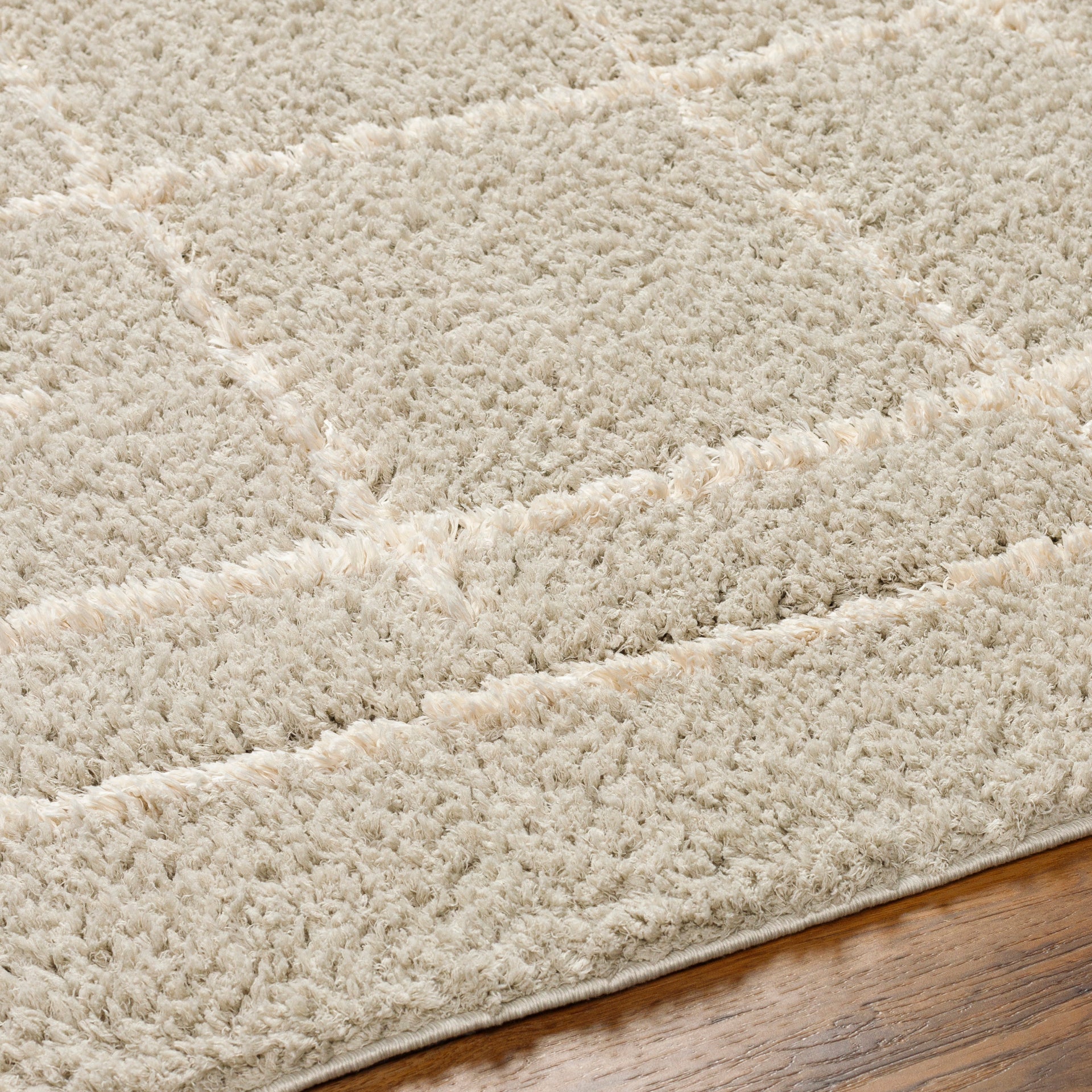 Maryland Shag Machine Woven Rug Livabliss Maryland Shag