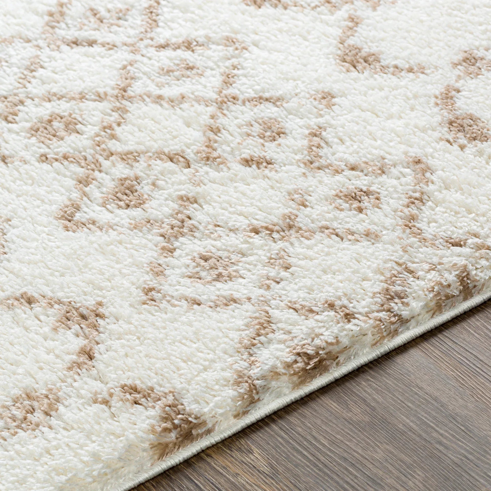 Aliyah Shag Machine Woven Rug Livabliss Aliyah Shag