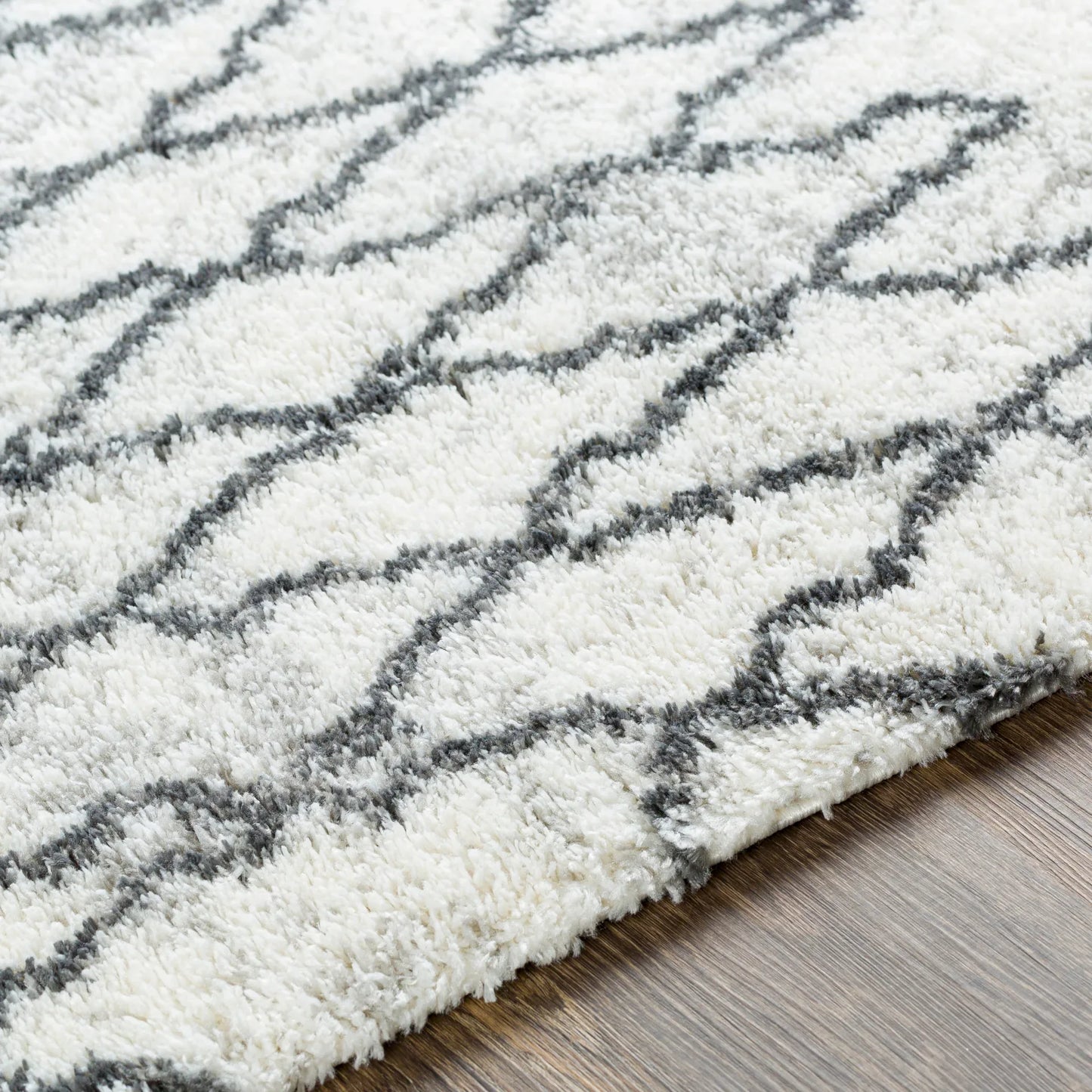 Aliyah Shag Machine Woven Rug Livabliss Aliyah Shag