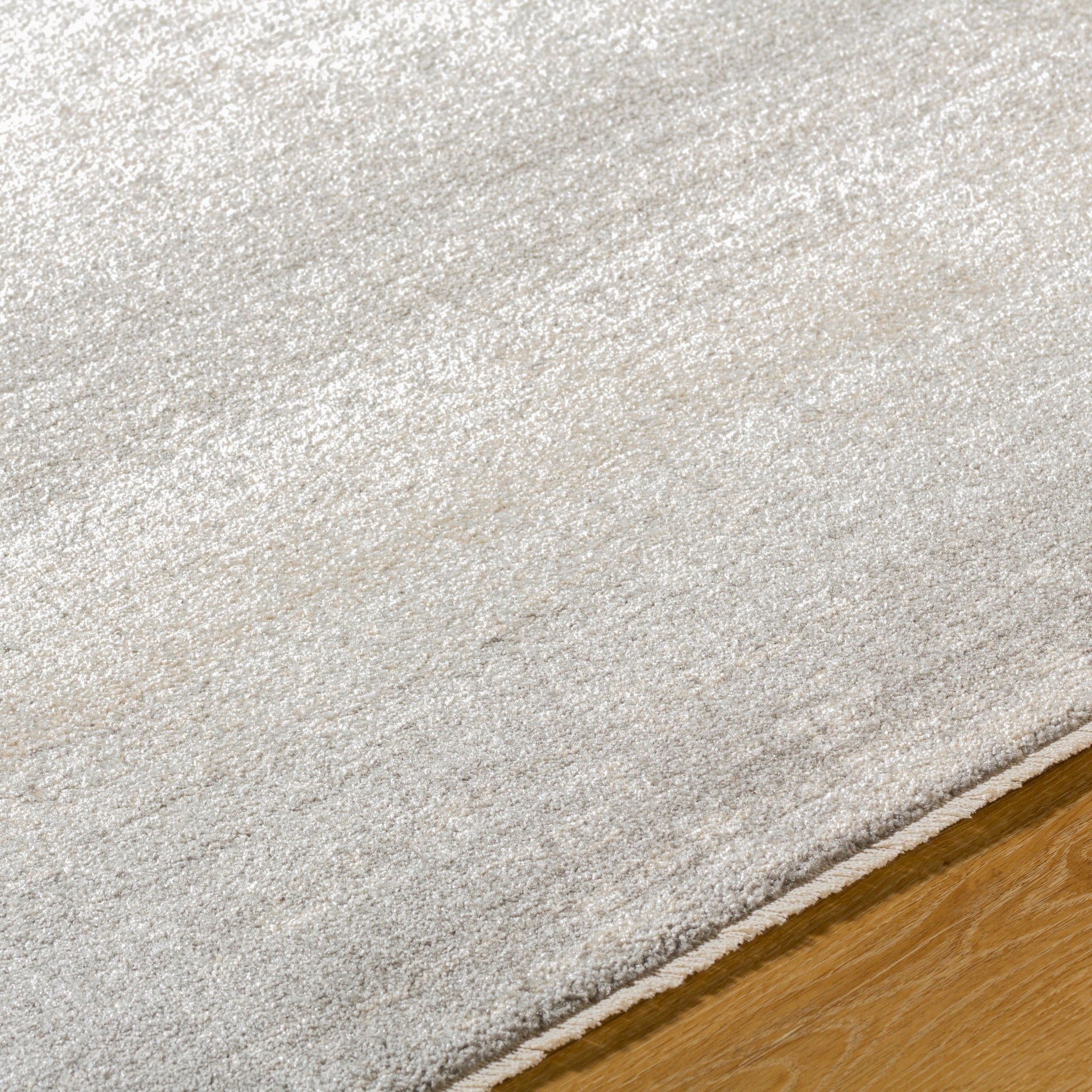 Rojin Machine Woven Rug Livabliss Rojin