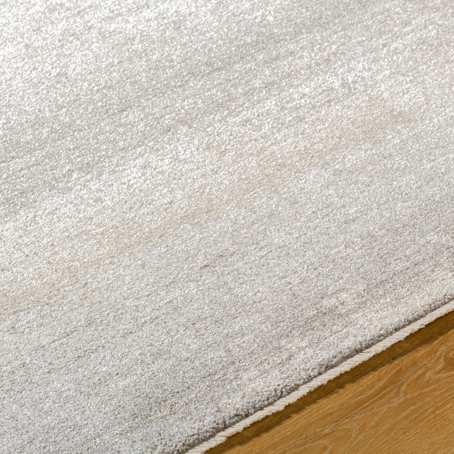 Rojin Machine Woven Rug Livabliss Rojin