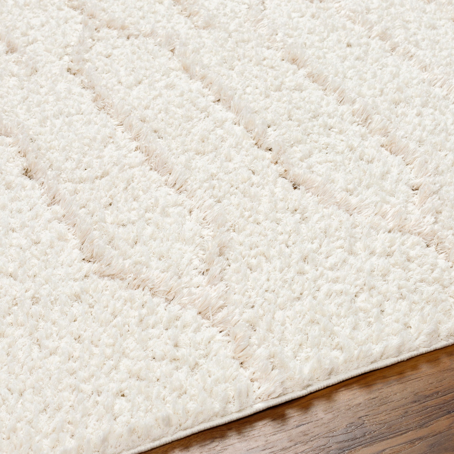 Maryland Shag Machine Woven Rug Livabliss Maryland Shag