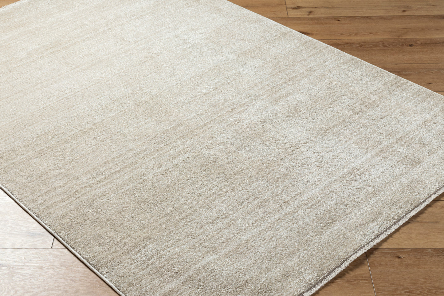 Rojin Machine Woven Rug Livabliss Rojin