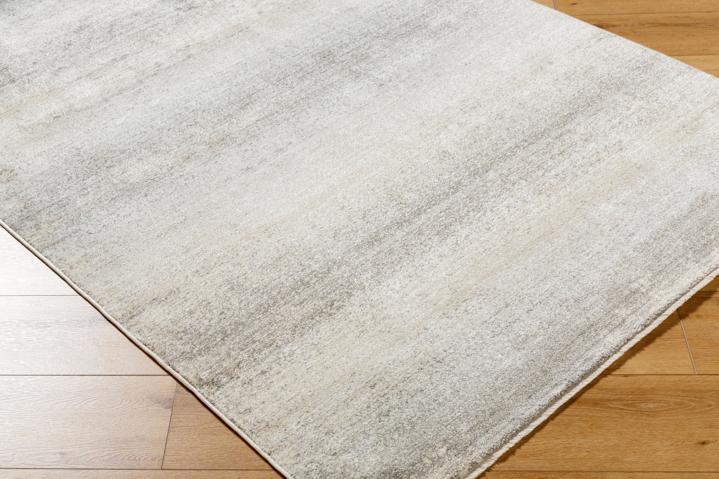 Rojin Machine Woven Rug Livabliss Rojin