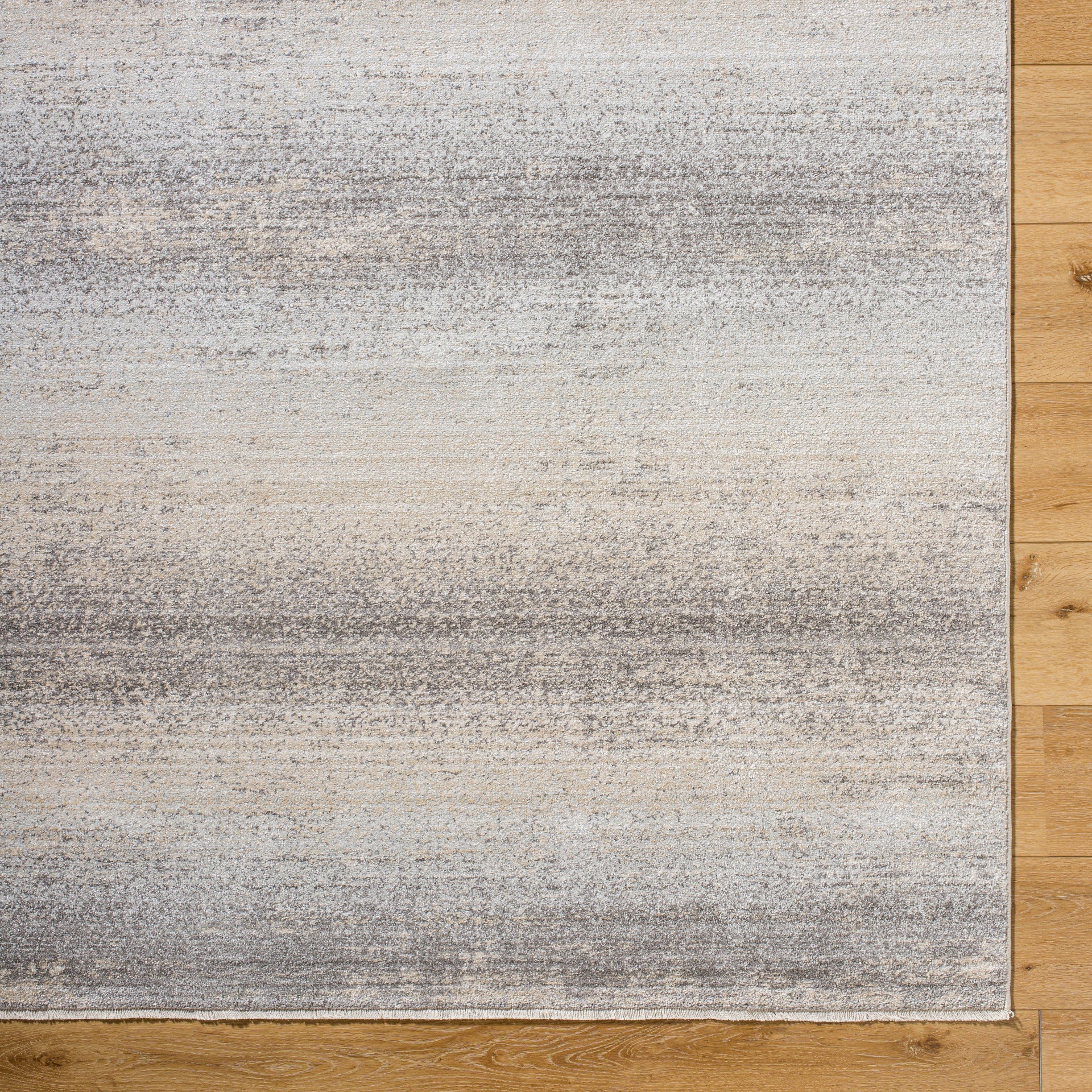 Rojin Machine Woven Rug Livabliss Rojin