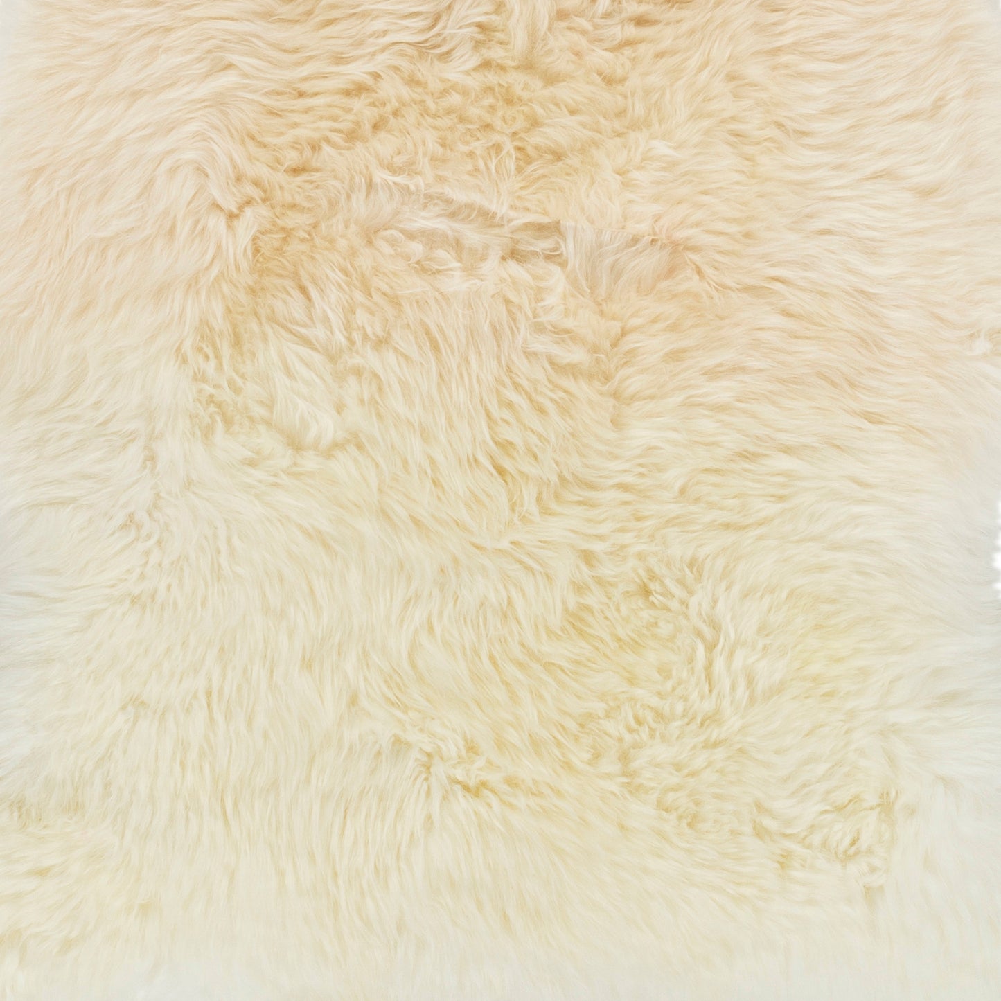 Kapuni Handmade Rug Livabliss Kapuni