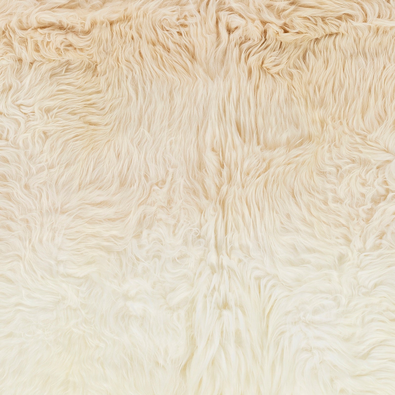 Kapuni Handmade Rug Livabliss Kapuni