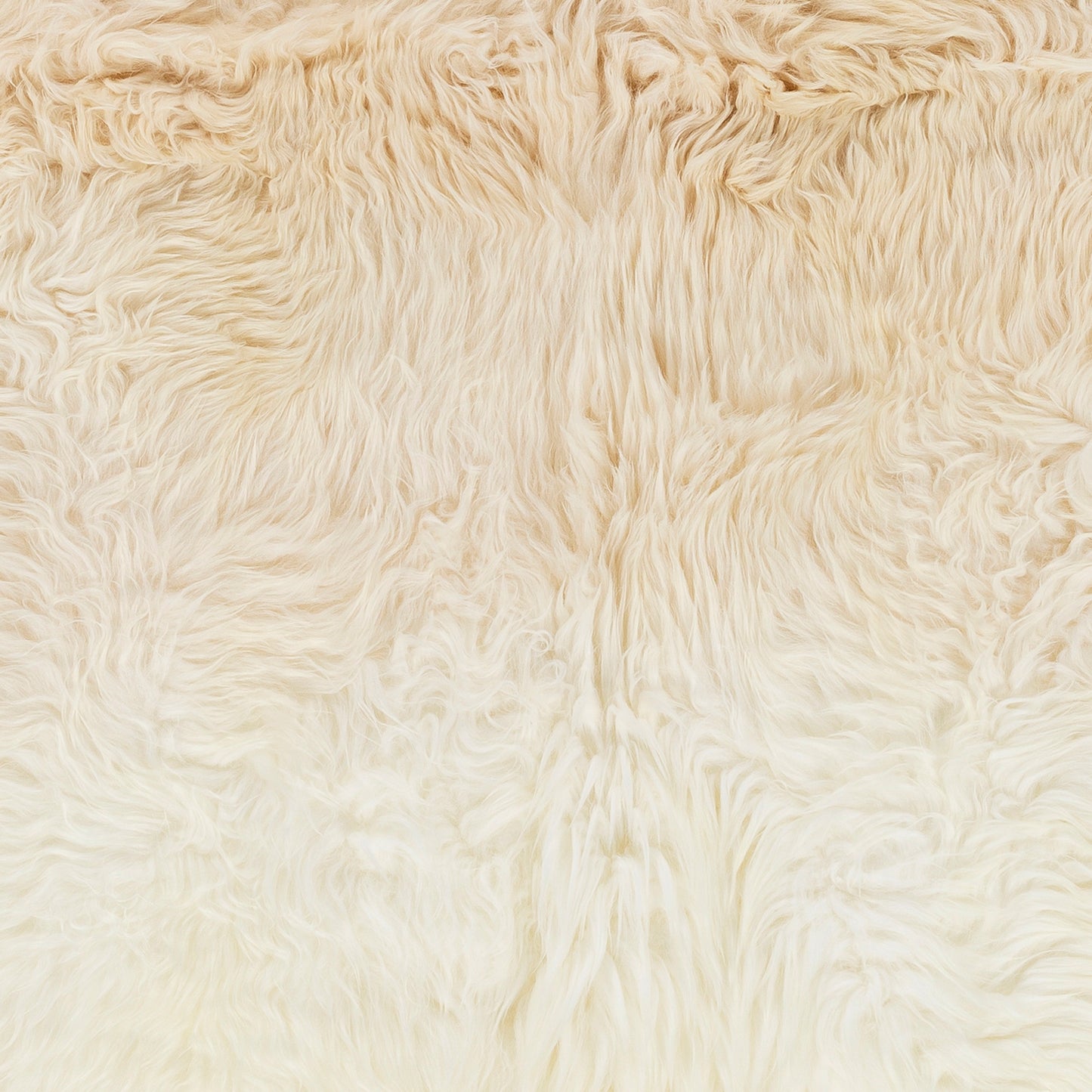 Kapuni Handmade Rug Livabliss Kapuni