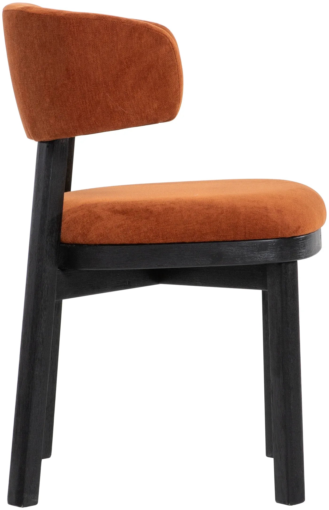 Lindo Dining Chair Livabliss Lindo