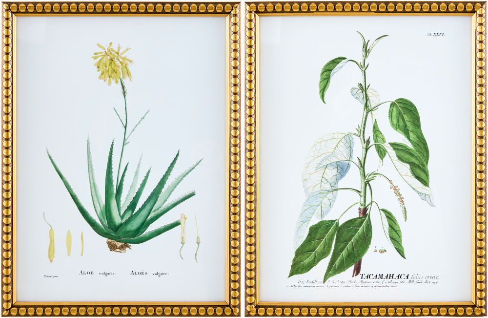 Midsummer Framed Art — Green/Metallic - Gold
