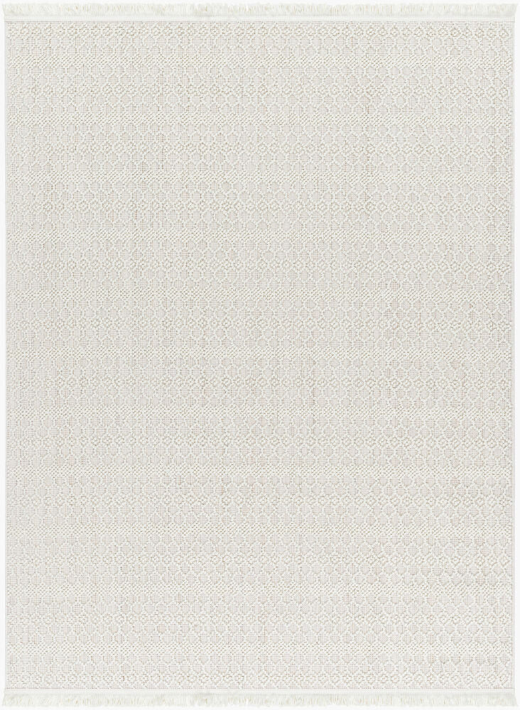 New Delhi Machine Woven Rug — Cream/Light Gray