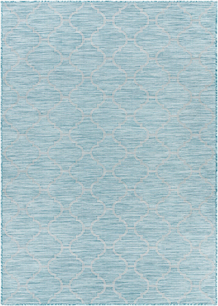Pasadena Machine Woven Rug — Aqua