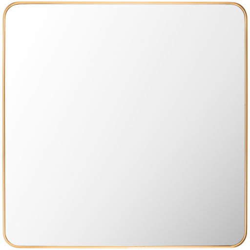 Aranya Accent Mirror Livabliss Aranya
