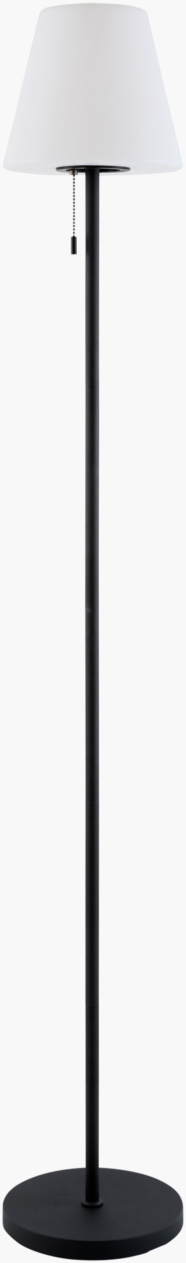 Selune Accent Floor Lamp — Black