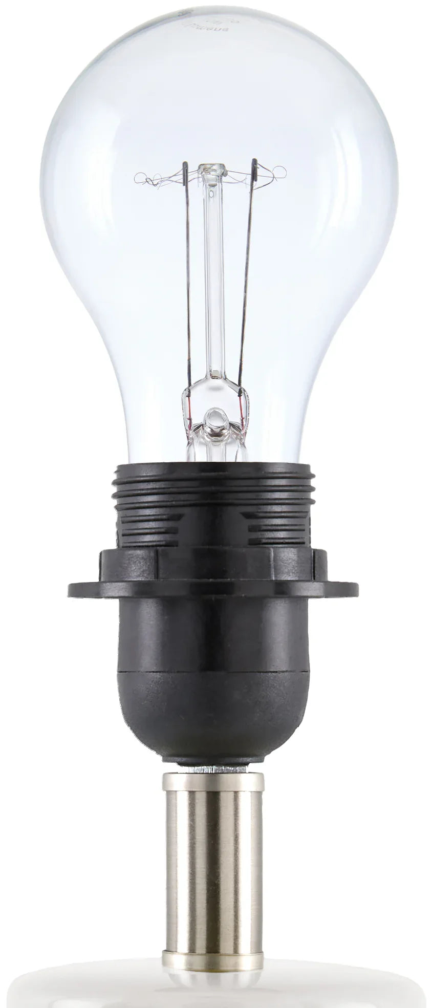 Stella Diminuta Accent Table Lamp Livabliss Stella Diminuta