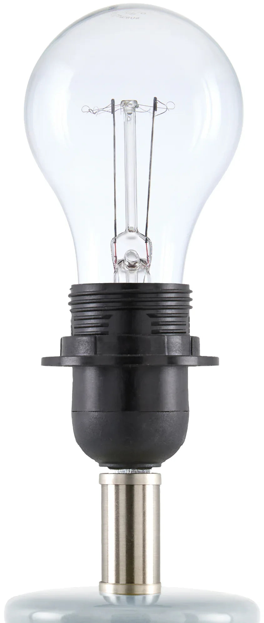 Stella Diminuta Accent Table Lamp Livabliss Stella Diminuta