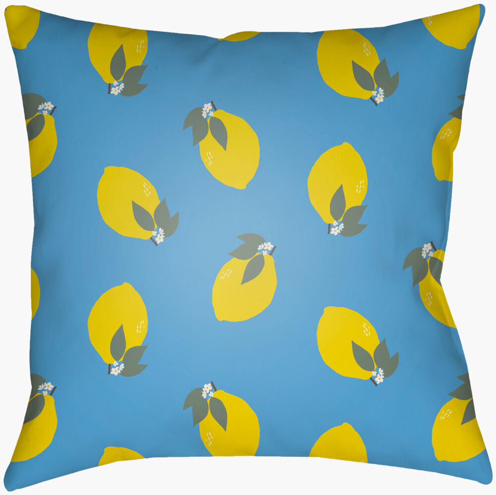 Summer Accent Pillow