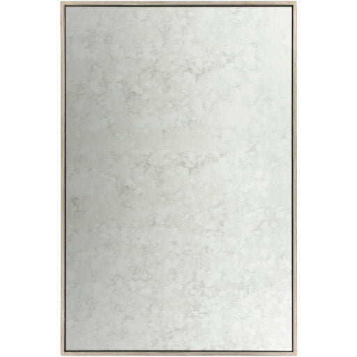 Verbena Accent Mirror Livabliss Verbena