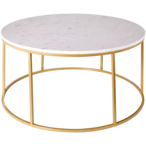 Aryaa Coffee Table Livabliss Aryaa